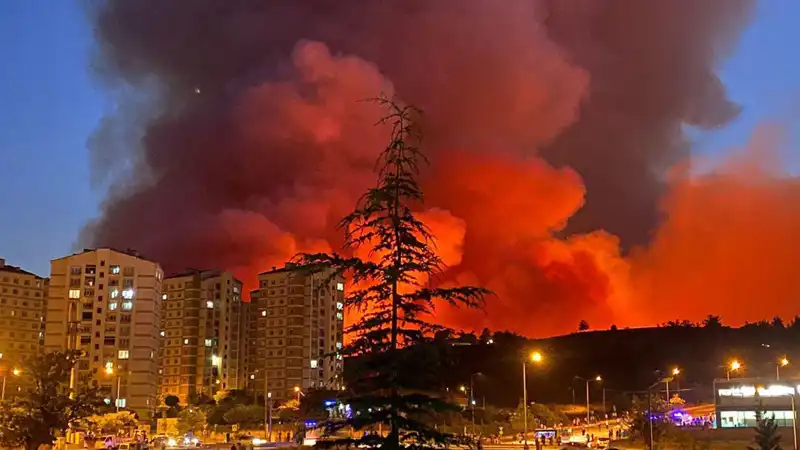 Bursa'da Yangın Tehlikesi! Şehri Saran Alevlerle Mücadele Ediliyor