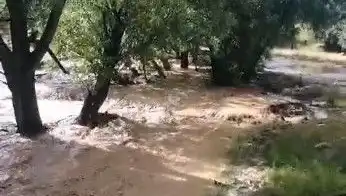 Mersin'de Sağanak Yağışlar, Sel Tehlikesini Getirdi: Olayların Ardındaki Gerçekler