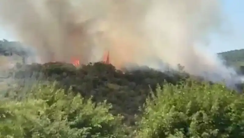 İstanbul'da Orman Yangını: Vatandaşlar Tahliye Ediliyor, Tehlike Büyüyor