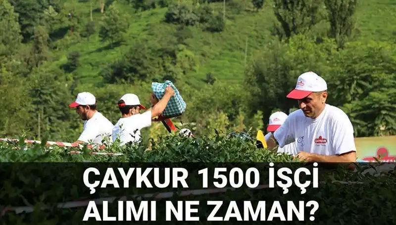 Çaykur İşçi Alımı İçin Başvuru Tarihleri Açıklandı! İşte Tüm Detaylar