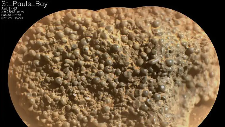Mars'ta Şaşırtan Keşif: Örümcek Yumurtalarına Benzeyen Yapılar Bulundu!
